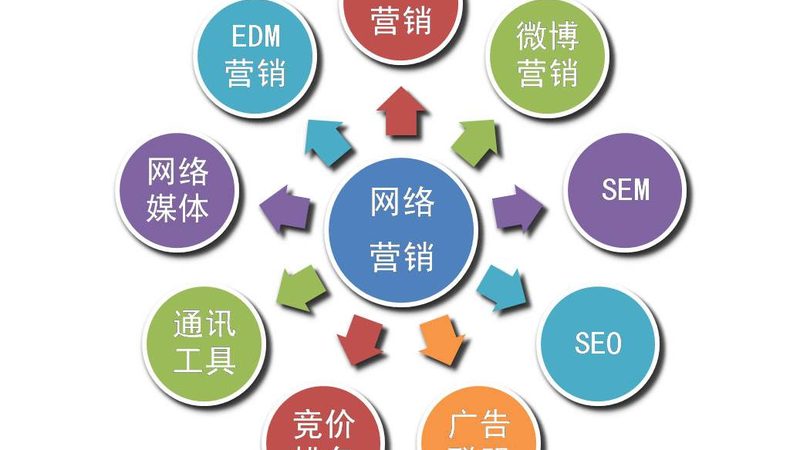 ROI实测数据：精准预算的关键