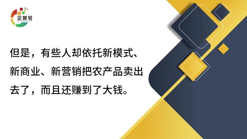 全网营销培训与运营：本质区别与关键要素