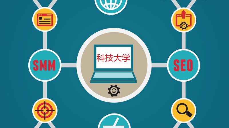 行业背景：整站优化代理加盟的兴起与市场乱象